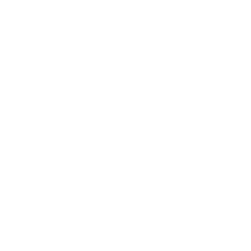 The Detox Project